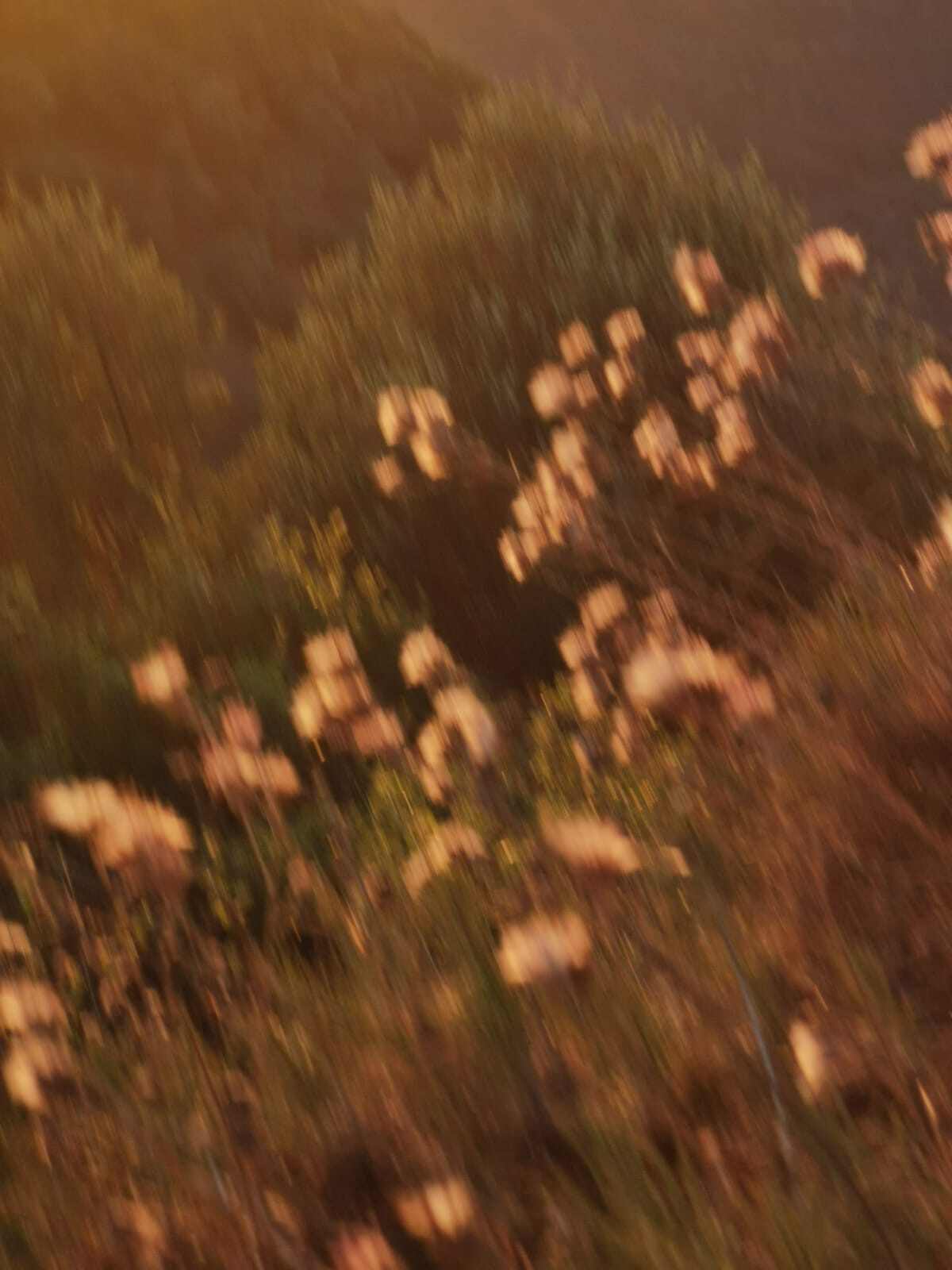 IMG-20241214-WA0025